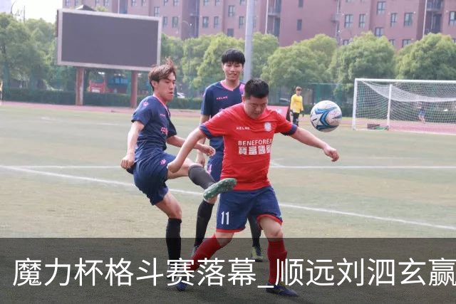魔力杯格斗赛落幕 顺远刘泗玄赢下100公斤级